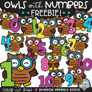 Owls with Numbers Clipart FREEBIE!